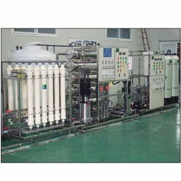 電子行業(yè)超純水 碧麗康源